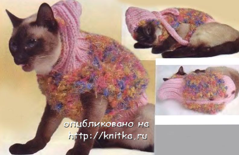 Курточка с капюшоном для кошки