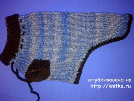 Теплый свитер для мопса. Работа Евгении Руденко вязание и схемы вязания