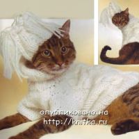 Белый комплект для кошки.
