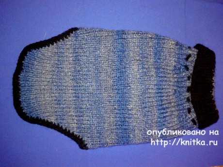 Теплый свитер для мопса. Работа Евгении Руденко вязание и схемы вязания